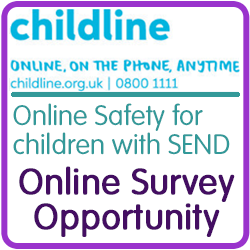 Childline SEND Survey Icon Lge
