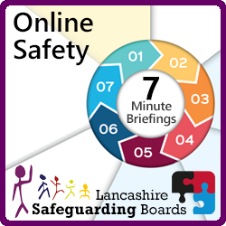 7MB Online Safety Lge Icon