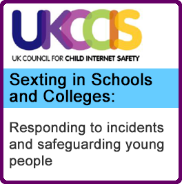 UKCCIS Sexting In Schools Web Icon Lge